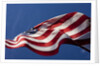 American Flag, Washington by Anonymous