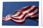 American Flag, Washington by Anonymous