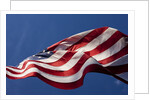 American Flag, Washington by Anonymous