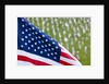 Memorial Day, Fort Indiantown Gap, Pennsylvania by Anonymous