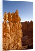 Rock formations in Bryce Canyon National Park in moonlight by Anonymous