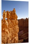 Rock formations in Bryce Canyon National Park in moonlight by Anonymous