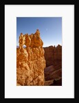 Rock formations in Bryce Canyon National Park in moonlight by Anonymous