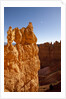 Rock formations in Bryce Canyon National Park in moonlight by Anonymous