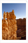 Rock formations in Bryce Canyon National Park in moonlight by Anonymous