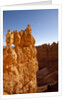 Rock formations in Bryce Canyon National Park in moonlight by Anonymous