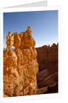 Rock formations in Bryce Canyon National Park in moonlight by Anonymous