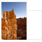Rock formations in Bryce Canyon National Park in moonlight by Anonymous