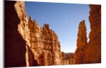 Rock formations in Bryce Canyon National Park in moonlight by Anonymous
