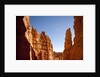Rock formations in Bryce Canyon National Park in moonlight by Anonymous