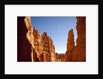 Rock formations in Bryce Canyon National Park in moonlight by Anonymous