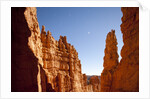 Rock formations in Bryce Canyon National Park in moonlight by Anonymous