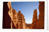 Rock formations in Bryce Canyon National Park in moonlight by Anonymous