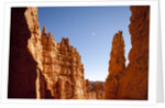 Rock formations in Bryce Canyon National Park in moonlight by Anonymous