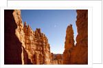 Rock formations in Bryce Canyon National Park in moonlight by Anonymous