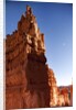 Rock formations in Bryce Canyon National Park in moonlight by Anonymous