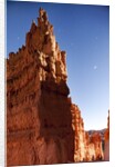 Rock formations in Bryce Canyon National Park in moonlight by Anonymous