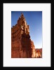Rock formations in Bryce Canyon National Park in moonlight by Anonymous