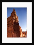 Rock formations in Bryce Canyon National Park in moonlight by Anonymous