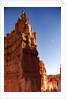 Rock formations in Bryce Canyon National Park in moonlight by Anonymous