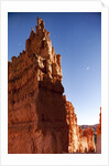 Rock formations in Bryce Canyon National Park in moonlight by Anonymous