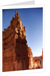 Rock formations in Bryce Canyon National Park in moonlight by Anonymous