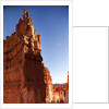 Rock formations in Bryce Canyon National Park in moonlight by Anonymous