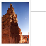 Rock formations in Bryce Canyon National Park in moonlight by Anonymous