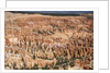 Bryce Canyon National Park by Anonymous