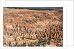 Bryce Canyon National Park by Anonymous