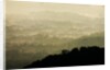 Skyline Drive, Shenandoah National Park, Virginia by Anonymous