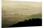 Skyline Drive, Shenandoah National Park, Virginia by Anonymous