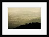 Skyline Drive, Shenandoah National Park, Virginia by Anonymous