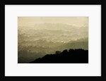 Skyline Drive, Shenandoah National Park, Virginia by Anonymous
