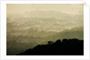 Skyline Drive, Shenandoah National Park, Virginia by Anonymous