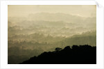 Skyline Drive, Shenandoah National Park, Virginia by Anonymous
