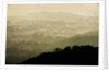 Skyline Drive, Shenandoah National Park, Virginia by Anonymous