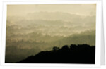 Skyline Drive, Shenandoah National Park, Virginia by Anonymous