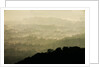 Skyline Drive, Shenandoah National Park, Virginia by Anonymous