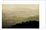 Skyline Drive, Shenandoah National Park, Virginia by Anonymous