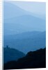 Skyline Drive, Shenandoah National Park, Virginia by Anonymous