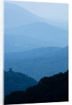 Skyline Drive, Shenandoah National Park, Virginia by Anonymous