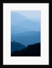 Skyline Drive, Shenandoah National Park, Virginia by Anonymous