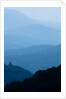 Skyline Drive, Shenandoah National Park, Virginia by Anonymous