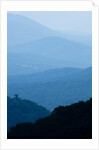 Skyline Drive, Shenandoah National Park, Virginia by Anonymous