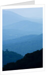Skyline Drive, Shenandoah National Park, Virginia by Anonymous