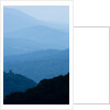 Skyline Drive, Shenandoah National Park, Virginia by Anonymous