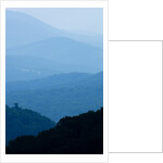 Skyline Drive, Shenandoah National Park, Virginia by Anonymous
