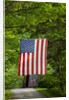 American flag hanging above gravel road by Anonymous
