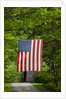American flag hanging above gravel road by Anonymous